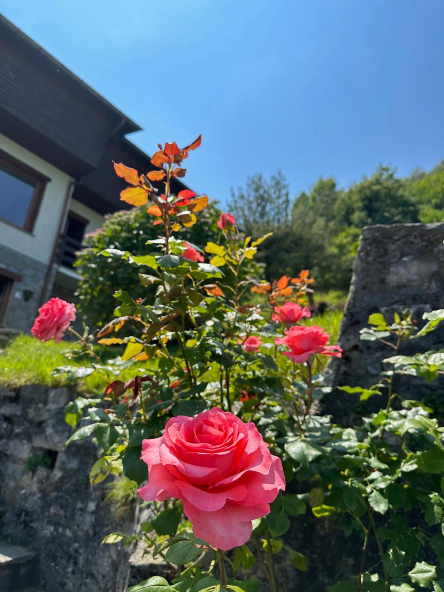 Villa D'Alba Guest House Civenna Exterior foto